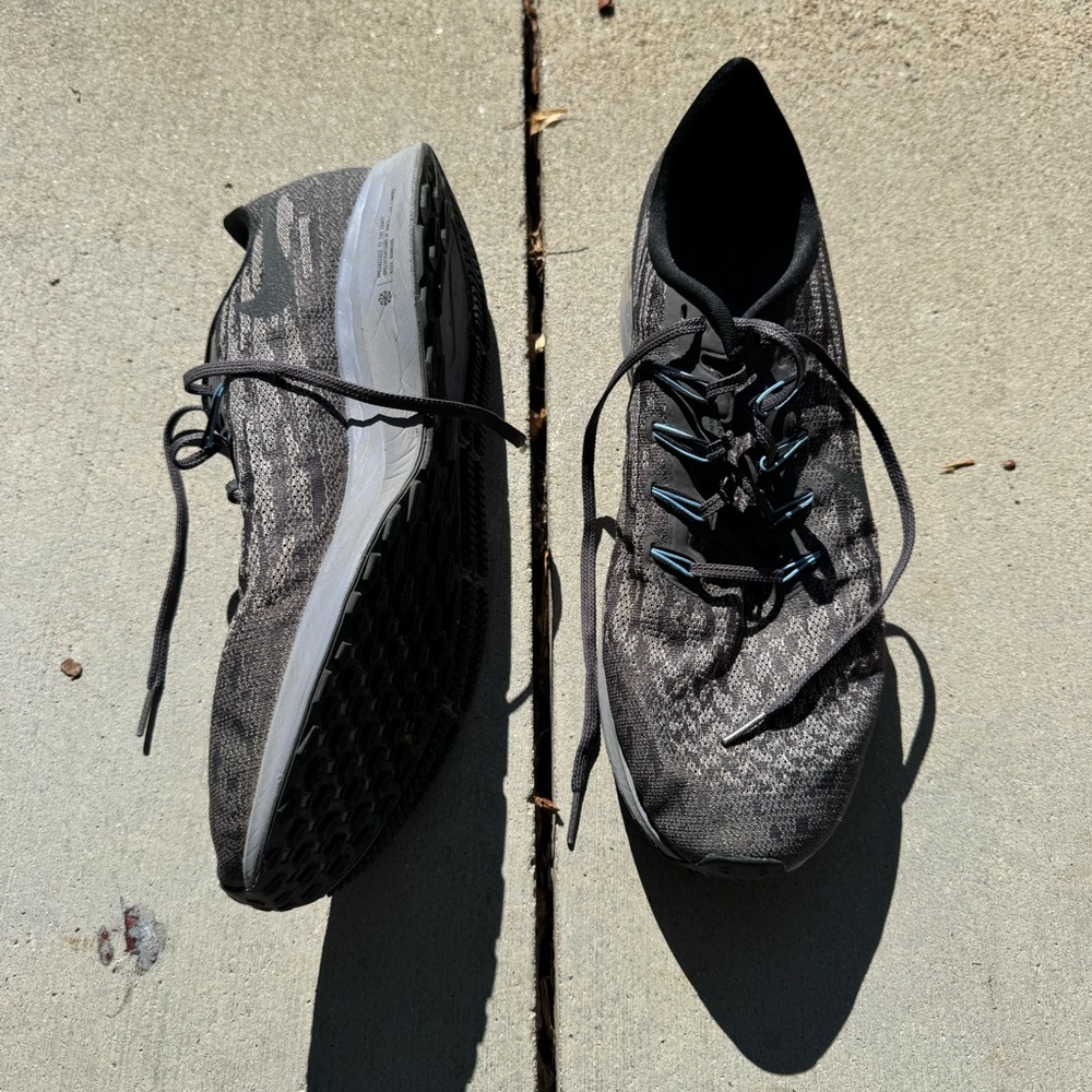 Men Nike Pegasus size 15